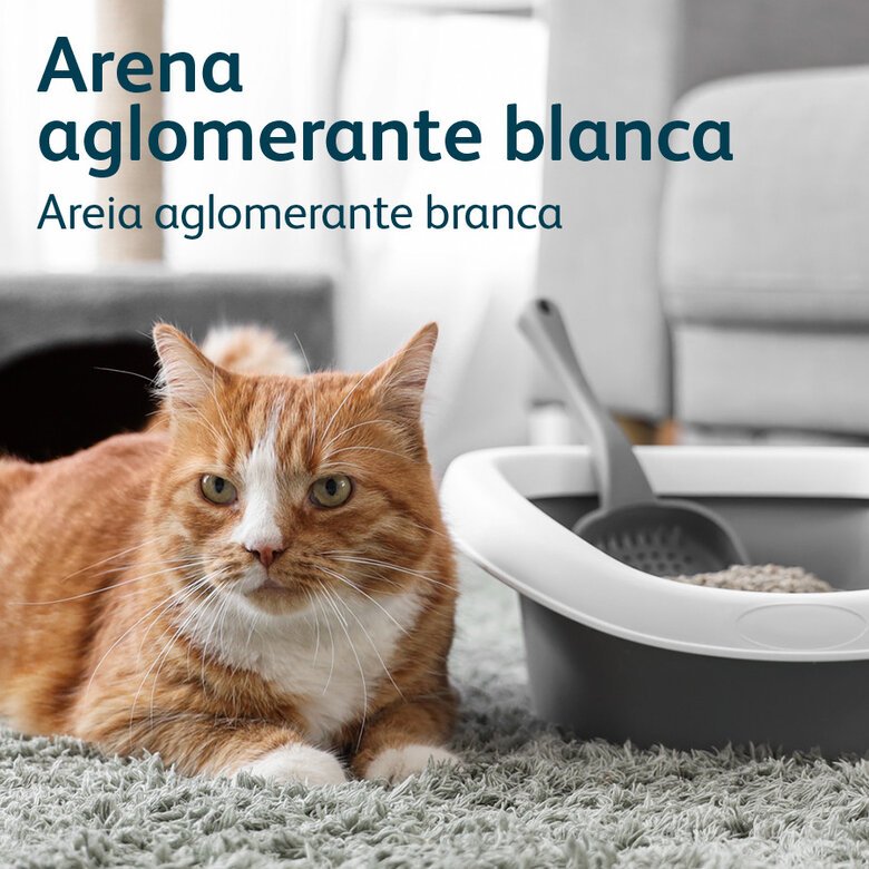 Areia Aglomerante para Gato 10L