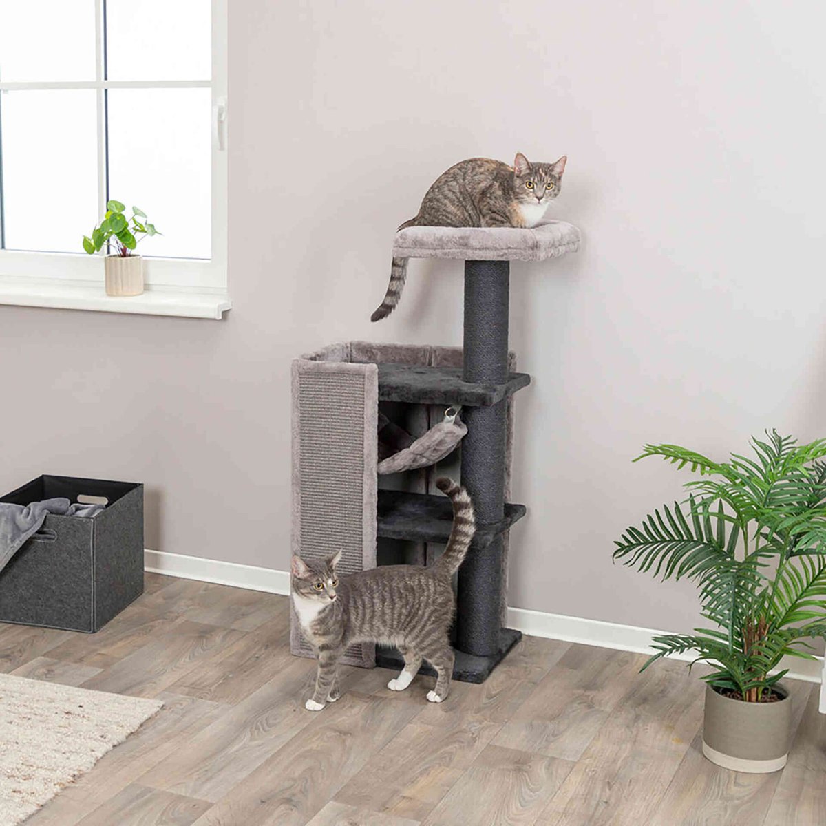 Arranhador para Gato com Plataforma 60cm